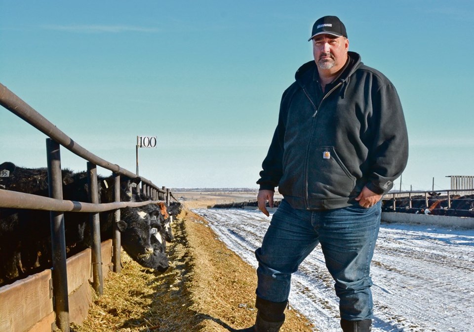 wp feedlot uncertainty