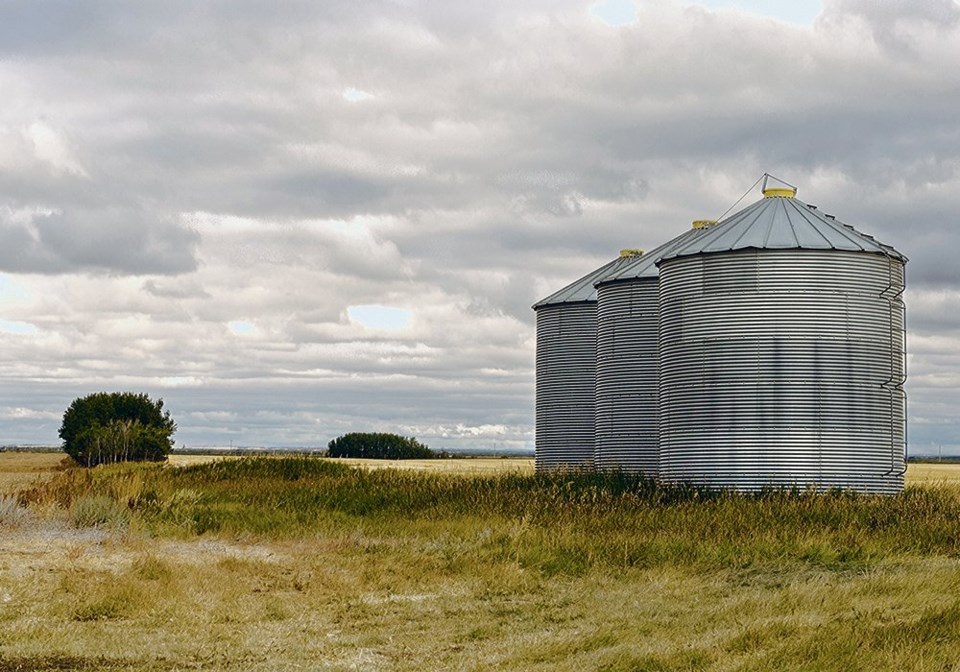 wp grain bins stock