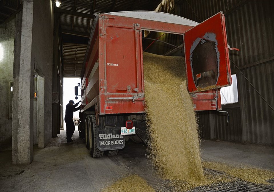 wp grain truck