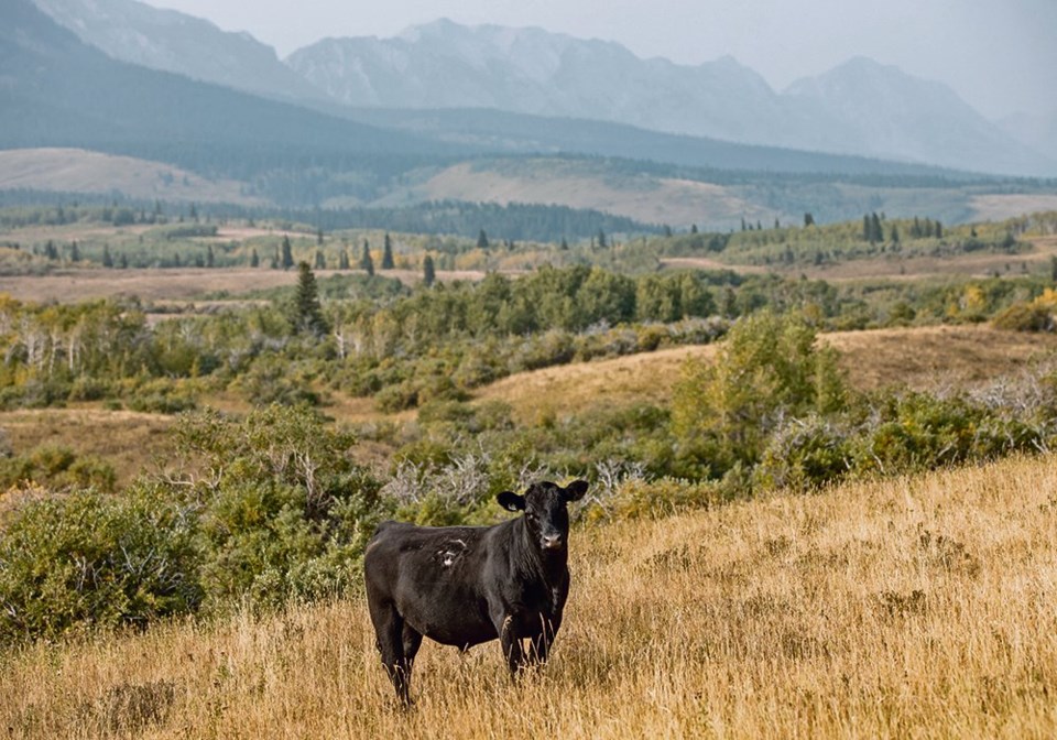 wp land development nature conservancy