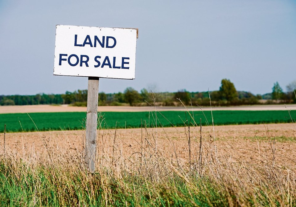 wp land for sale stock