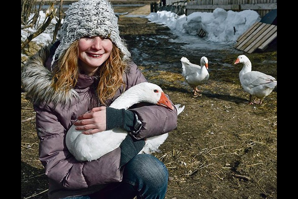 Samantha White, 14, cuddles one of the family’s geese.