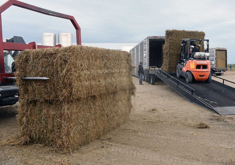 wp ontario hay delivery