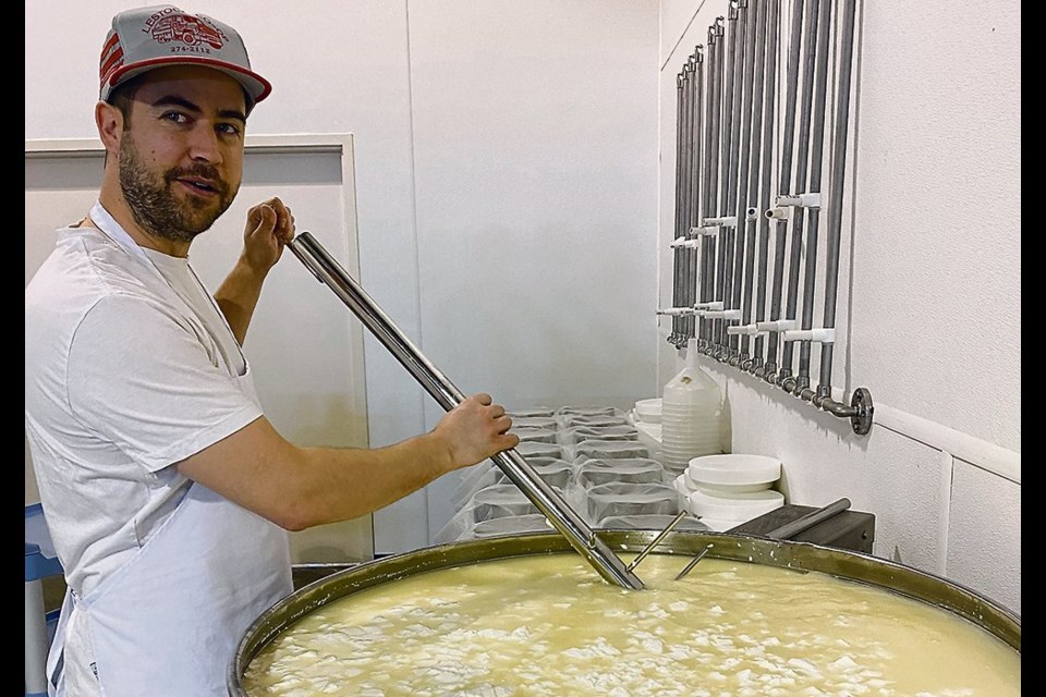 Kevin Petty of Saskatoon Spruce stirs curds in his vat. A vat filled with 250 litres of raw milk typically produces about 26 kilograms of cheese, or 13 two-kilogram wheels.