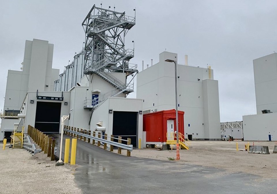 wp portage la prairie pea plant