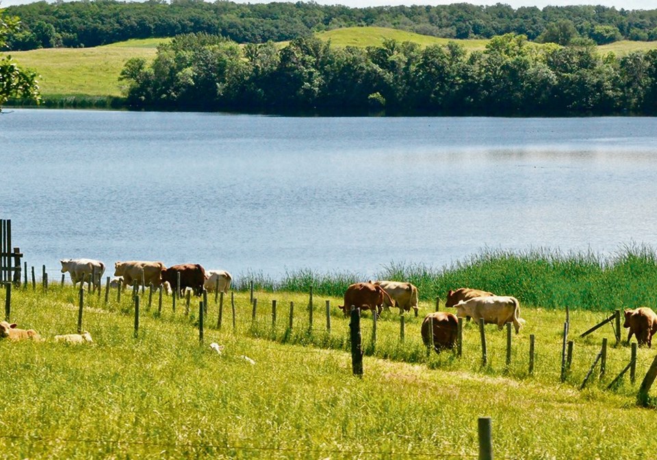 wp rotational grazing