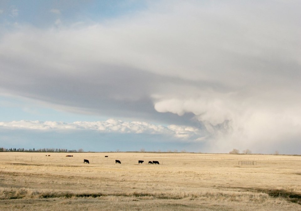 wp sask prairie storm