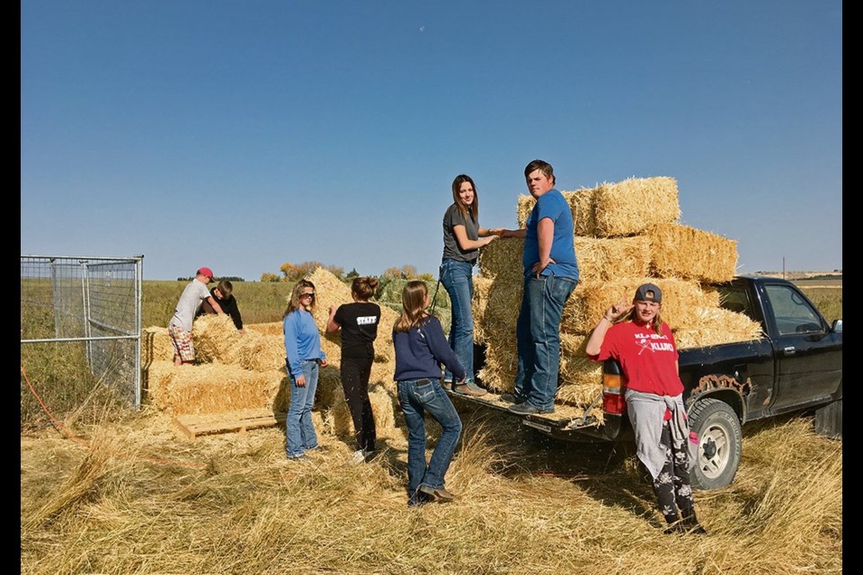 Students at The Farm do chores as part of their daily work.