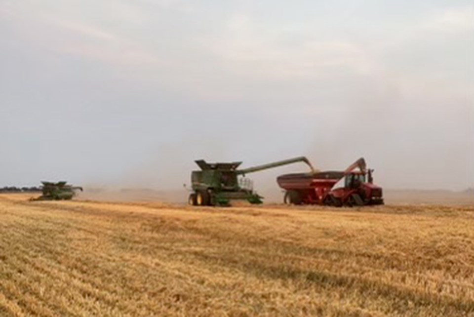 William Brown farm combining 