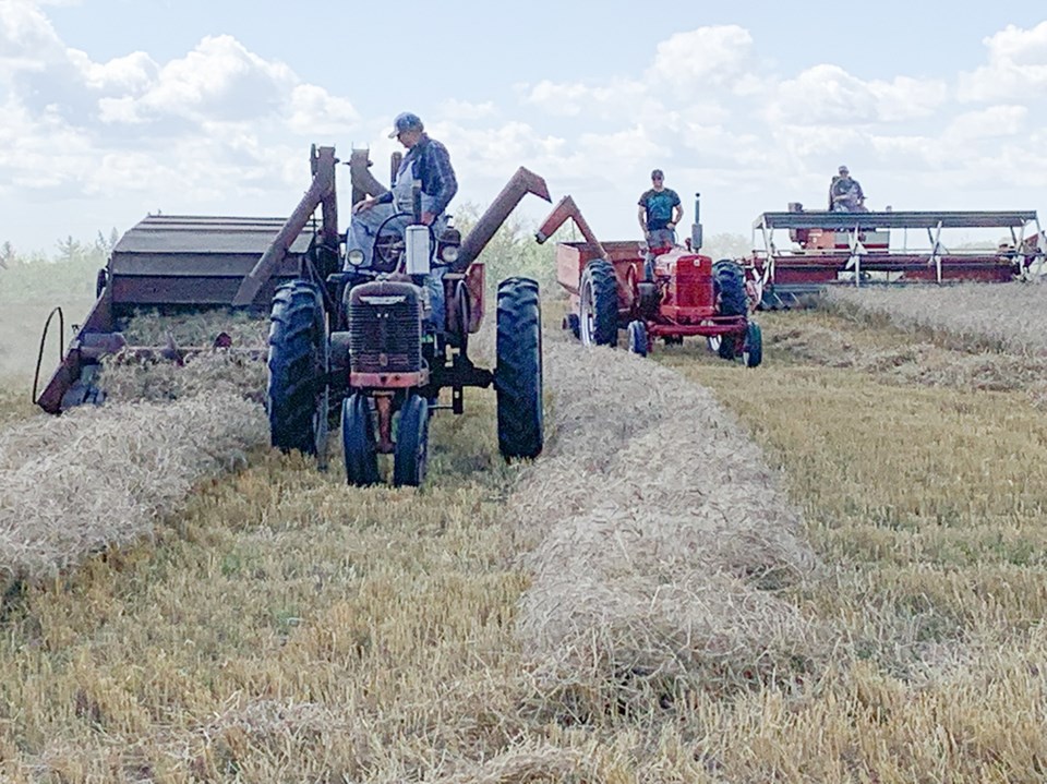 Wilson Harvest 1