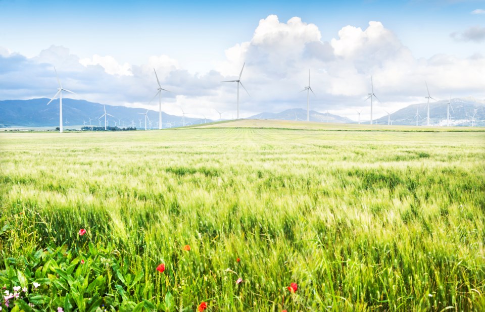 wind turbines field