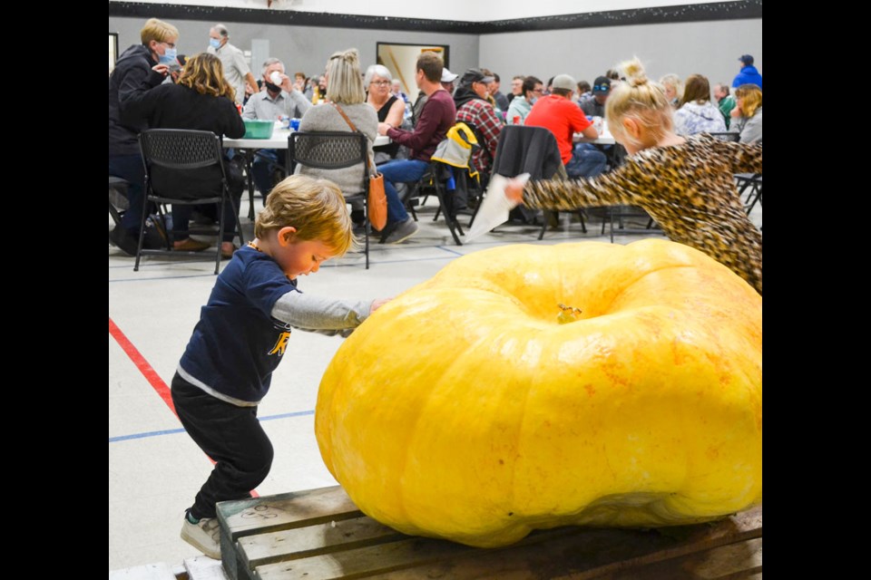 The Great Pumpkin Weigh-In Festival was recently held in Windthorst.