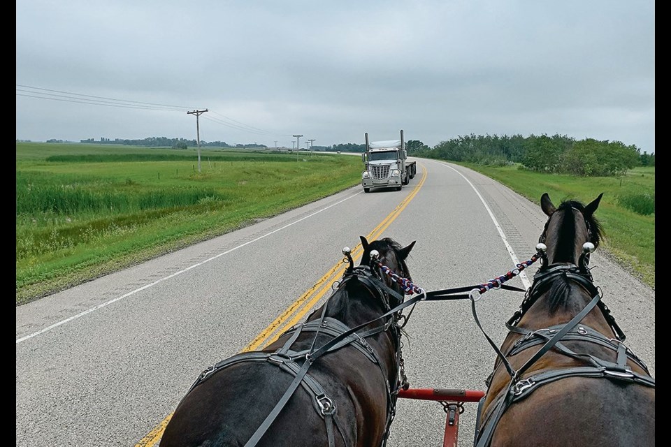 Cole and Elmo, two Percheron cross horses, needed a little practice to get them accustomed to work on busy roads and highways.