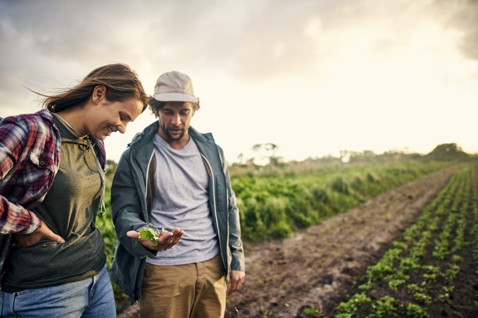 Young farmers