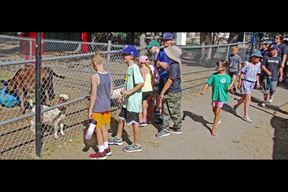 Children and their leaders from the Fun in the Sun summer program visited Weyburn's Therapeutic Animal Park on Friday, as part of their day's activities.