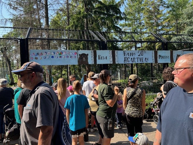 bear-thday-banner