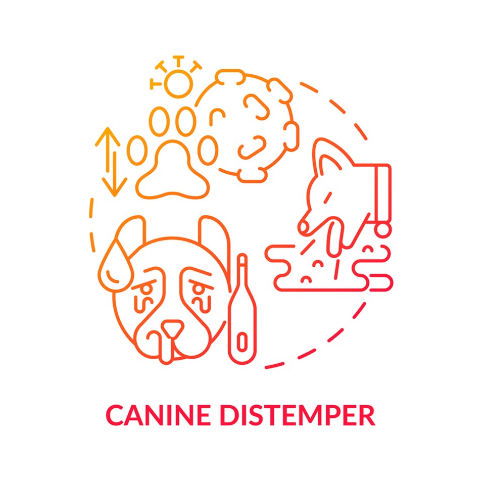 caninedistemper