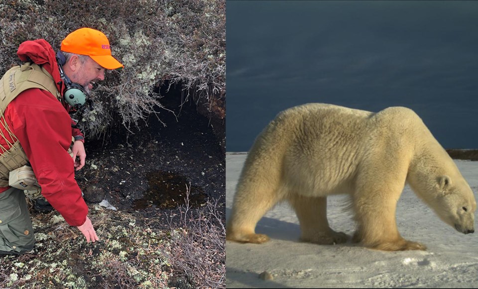 doug-clark-polar-bear