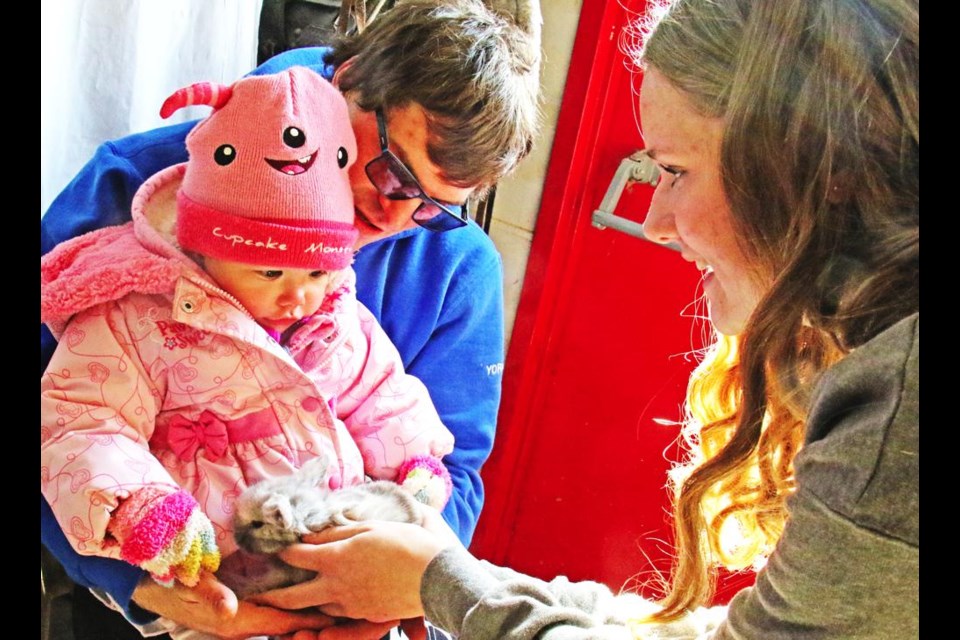 Rynn held a baby bunny as she was held by her dad, Kyle York, with Kylee Krisa of Houligan Acres providing the baby bunny.