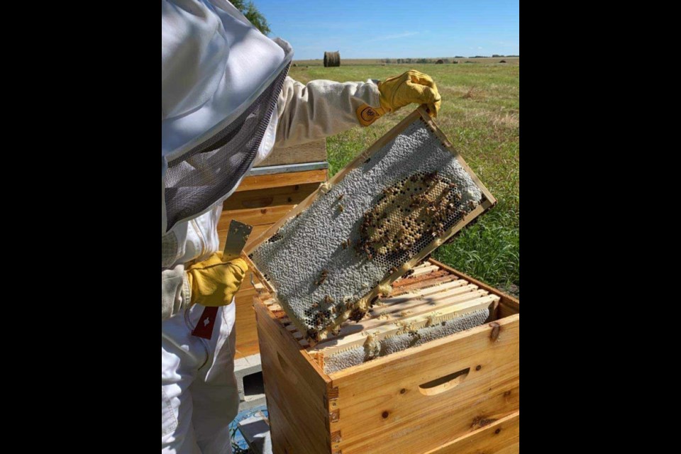 Crystal Harper is suited up when collaborating with the bees and shows one of the frames with honey. 