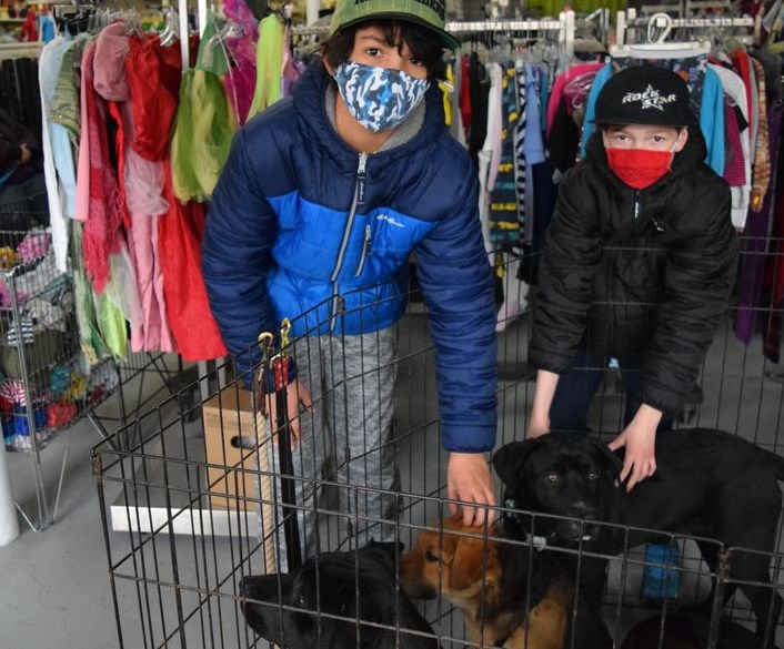 Joel Hanson and his younger brother Will looked like they were having a great time getting acquainted with these dogs during the Paws & Claws Pet Adoption Day held at Better Than Before in Canora on April 23. Jacqueline Fetchuk, owner of Better Than Before, reported that things were busy all day with visitors who wanted to meet the pets.