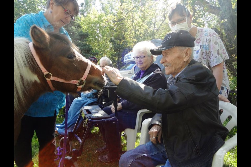 During a field trip outing with the Kamsack Nursing Home, Merlin Mroske made a special connection with a young pony named Mystic. Accommodating the introduction was Ravenheart Farms owner, Carol Marriott. Observing the budding friendship were Rose Degenhardt, and recreation worker, Patty Witzk.                                