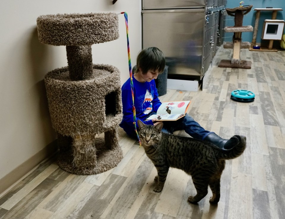 Reading to animals estevan