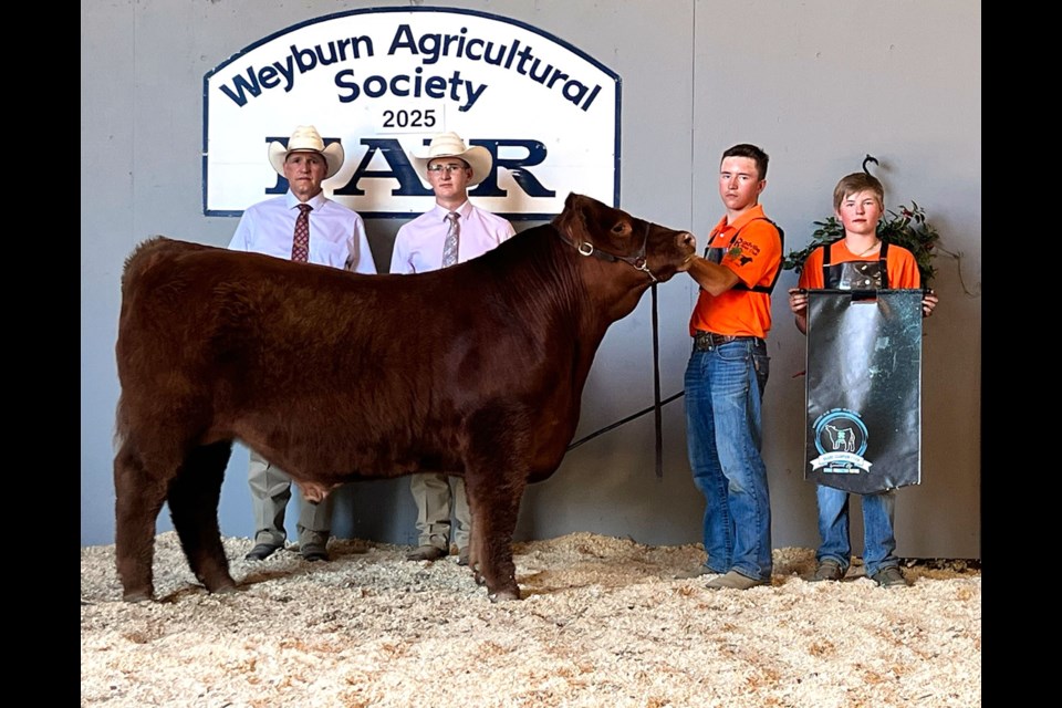 Rylan Fladeland from the Radville 4-H Beef Club took home top honours with Grand Champion Fed Calf.