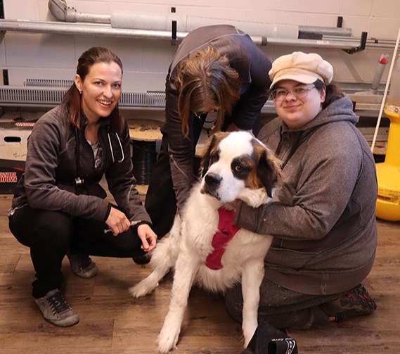 Anastasia Regehr, who has autism, brought her service dog Sasha, a St. Bernard, to the vaccination clinic put on in Canora by Vitality Veterinary Services of Yorkton on April 3. With Sasha, from left, were: Dr. Brittany Johnsgaard; Registered Veterinary Technologist Joanne Buitenhuis, and Regehr.
