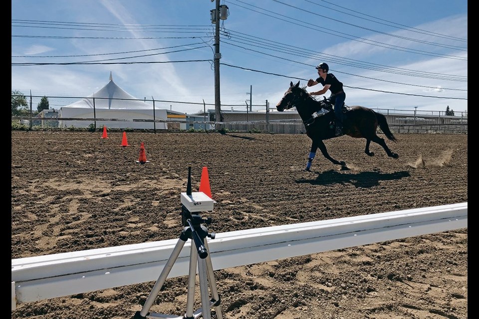 Horses participating in University of Calgary research that hopes to reduce catastrophic injury in chuckwagon horses were run at full speed under different track conditions.