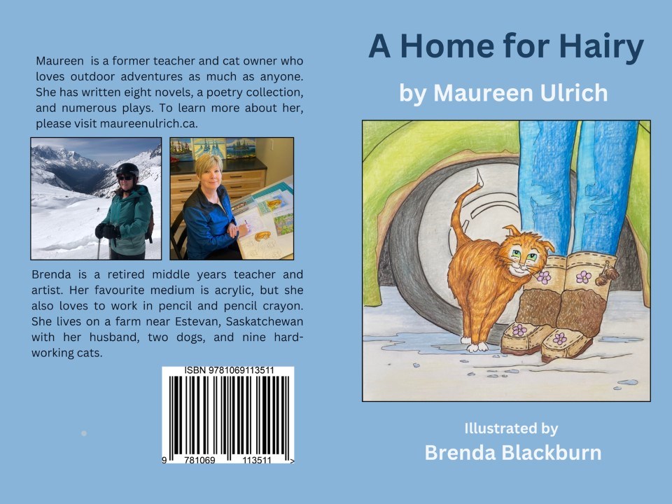 a-home-for-hairy-cover