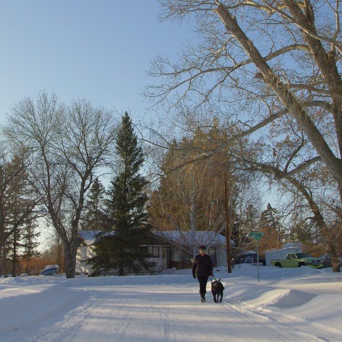 Luseland resident, Jodi Laycock, out for a stroll with her trusted companion and guide, Shadow.