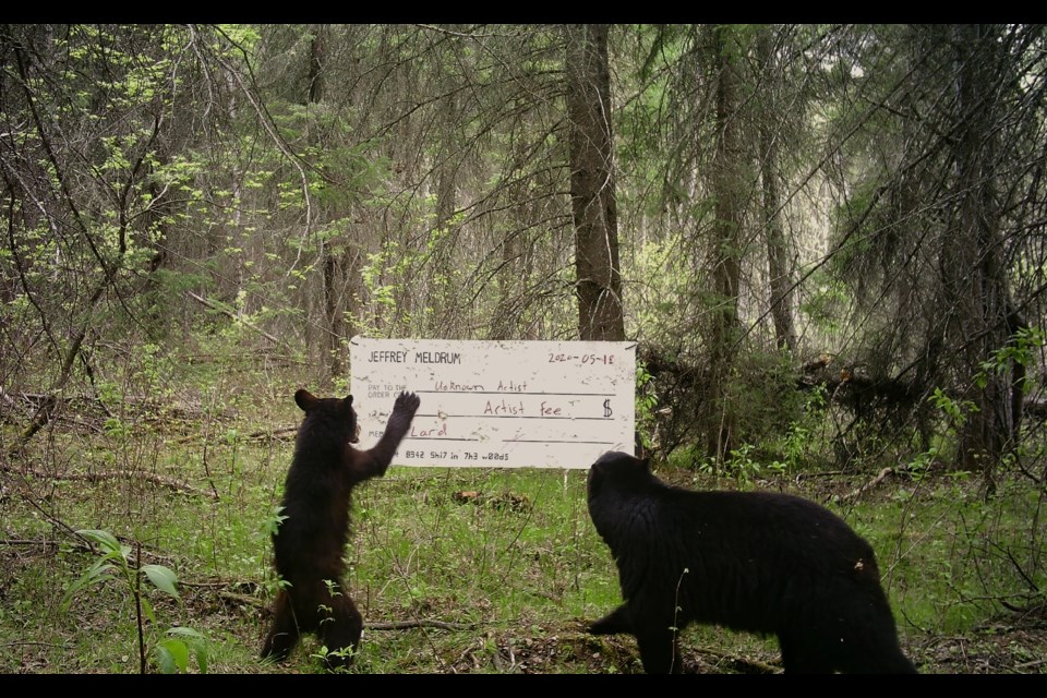 A mock cheque was presented to the bears to signify their fee for future collaborations.