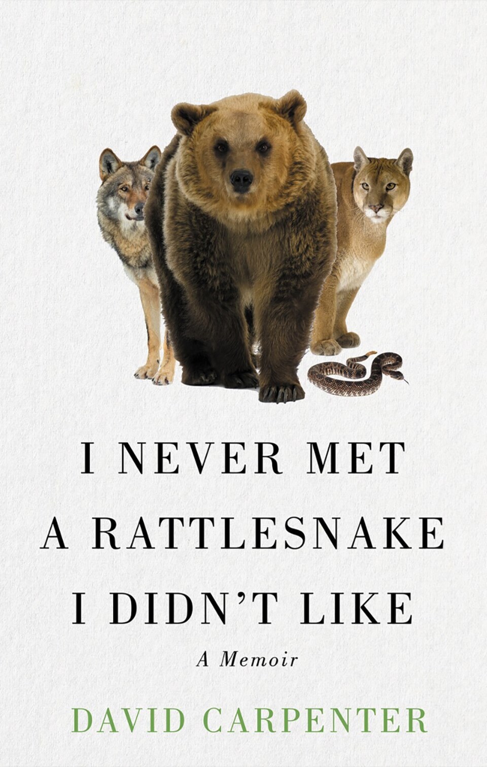 saskbooksrattlesnakefeature