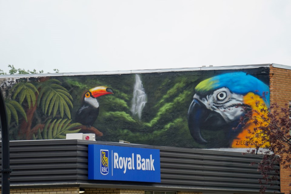 One of the first murals for this year was the one above the General Store, which created another little oasis in downtown Estevan.