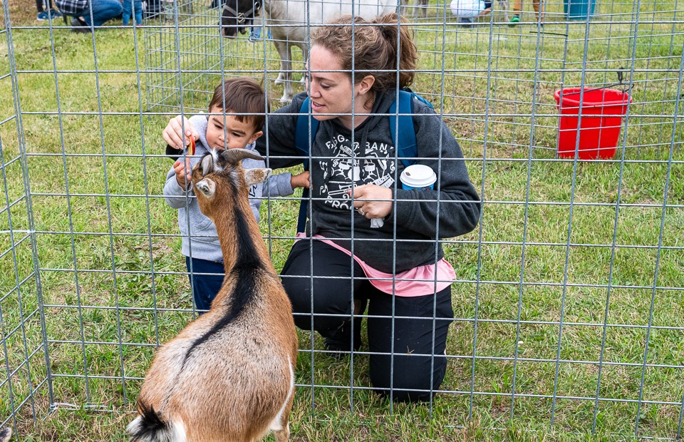 Family Fun Day was hosted at Heritage Christian School on Saturday, July 19.  There were activities for children including a large petting zoo, outside playground and activities in the gym. Amy and Nate Zhao feed the goats.