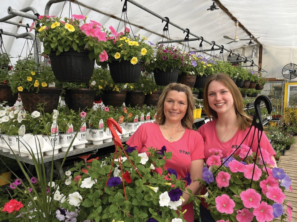 carievale-greenhouse-2024