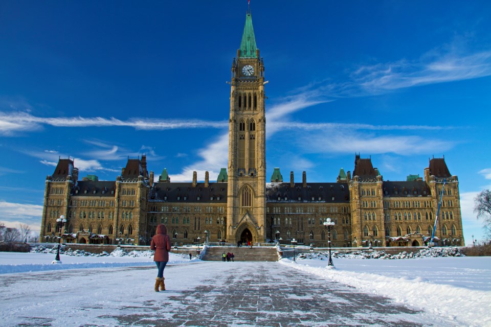 parliament winter stock