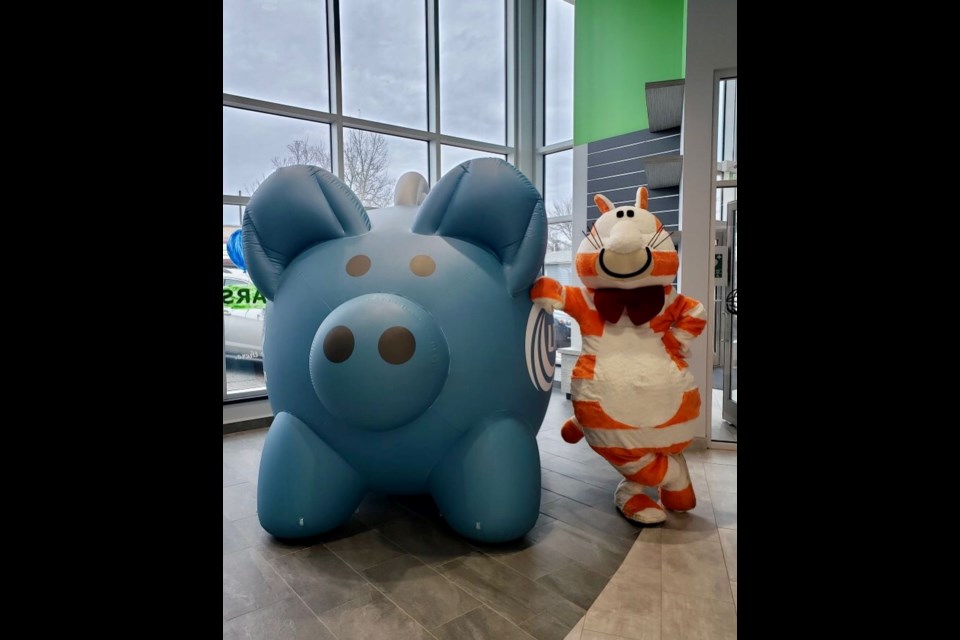 Well-known CU mascot, Fat Cat, poses at the subdued 80th anniversary celebrations for Unity Credit Union in 2021.