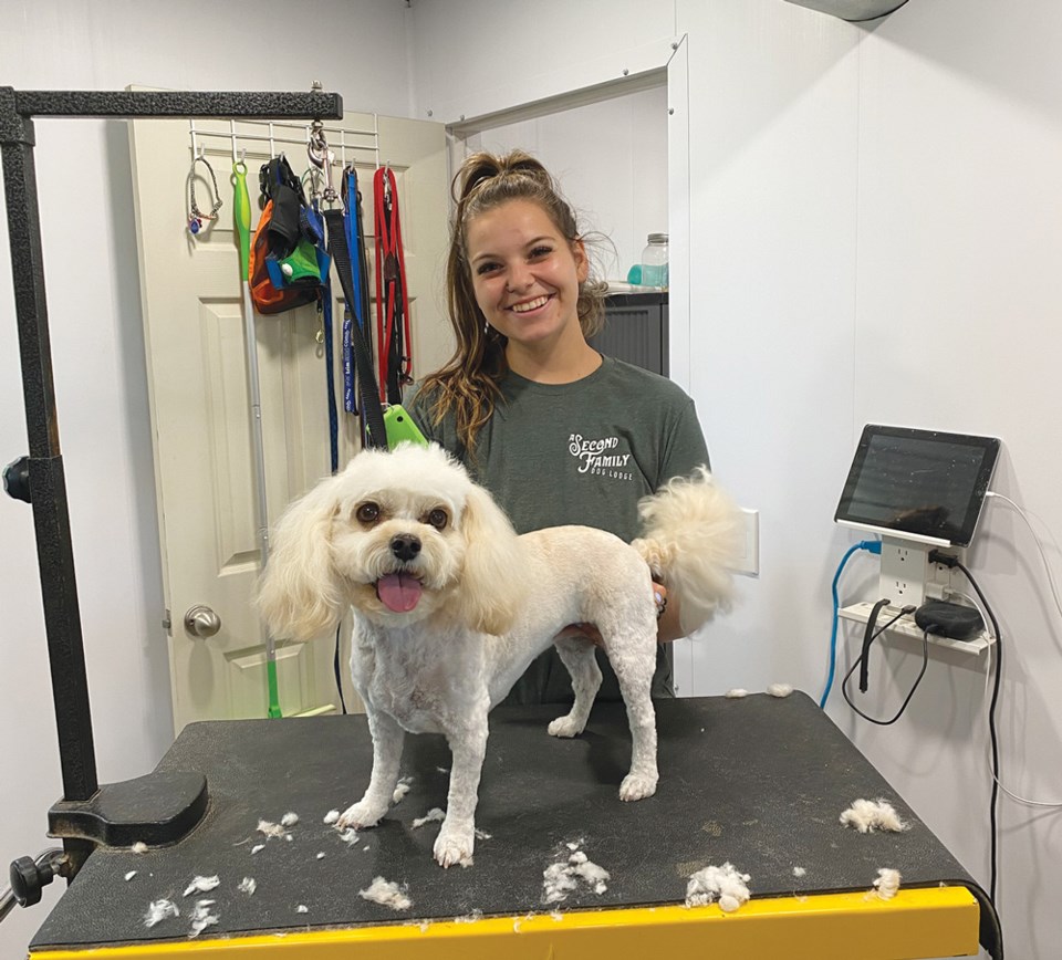 Pet Groomer Kaylie Sali