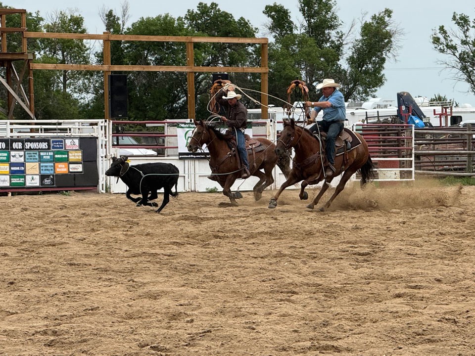 sz-horns-and-hocks