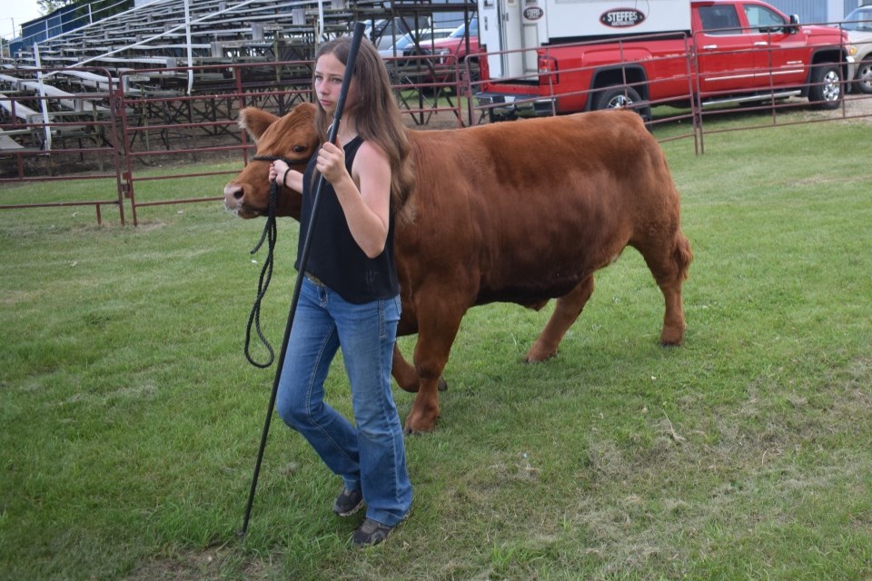 Brenna Fornwald with the charity steer. 