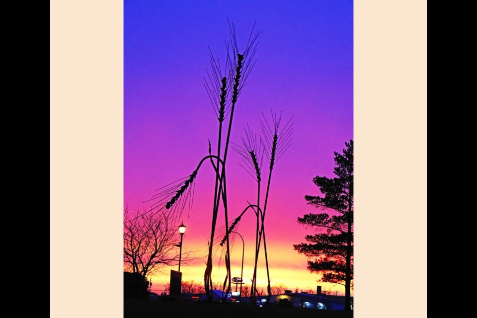 The range of colours were spectacular at Weyburn on Monday evening, here silhouetting the wheat stalks along Highway 39 through the city.