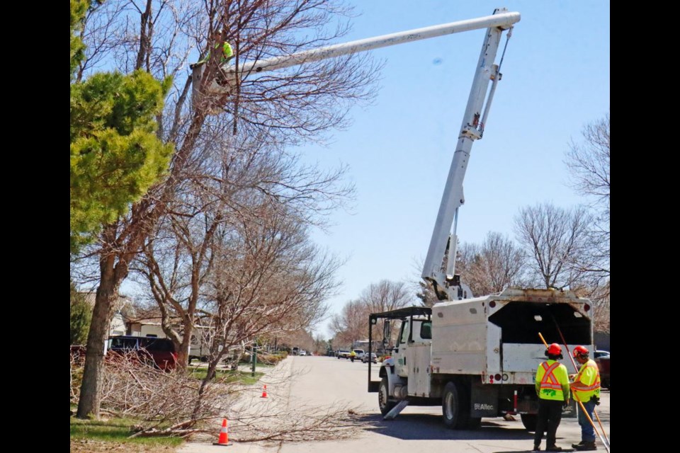 Weyburn will continue with its tree trimming program in 2023.