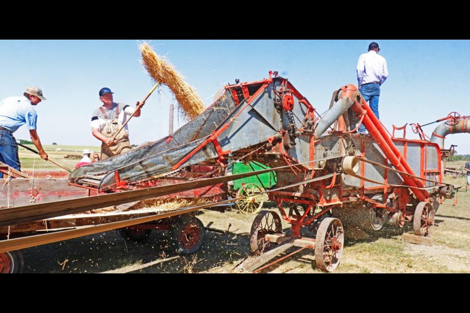 Midale held their annual Pioneer Echoes threshing demonstration, showing how harvest used to be done in the area