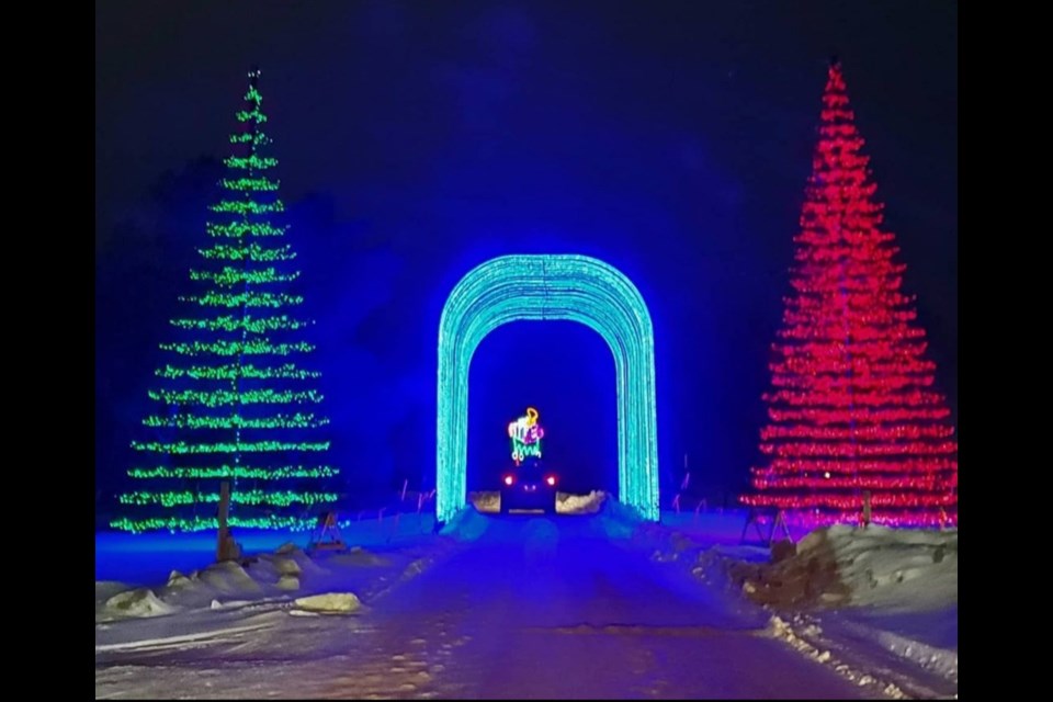 Some of the light display in last year's Enchanted Forest at the Saskatoon Forestry Farm Park & Zoo.