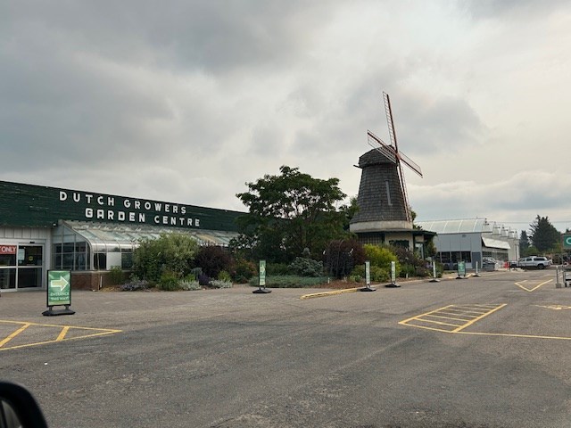 dutch-growers-in-sutherland