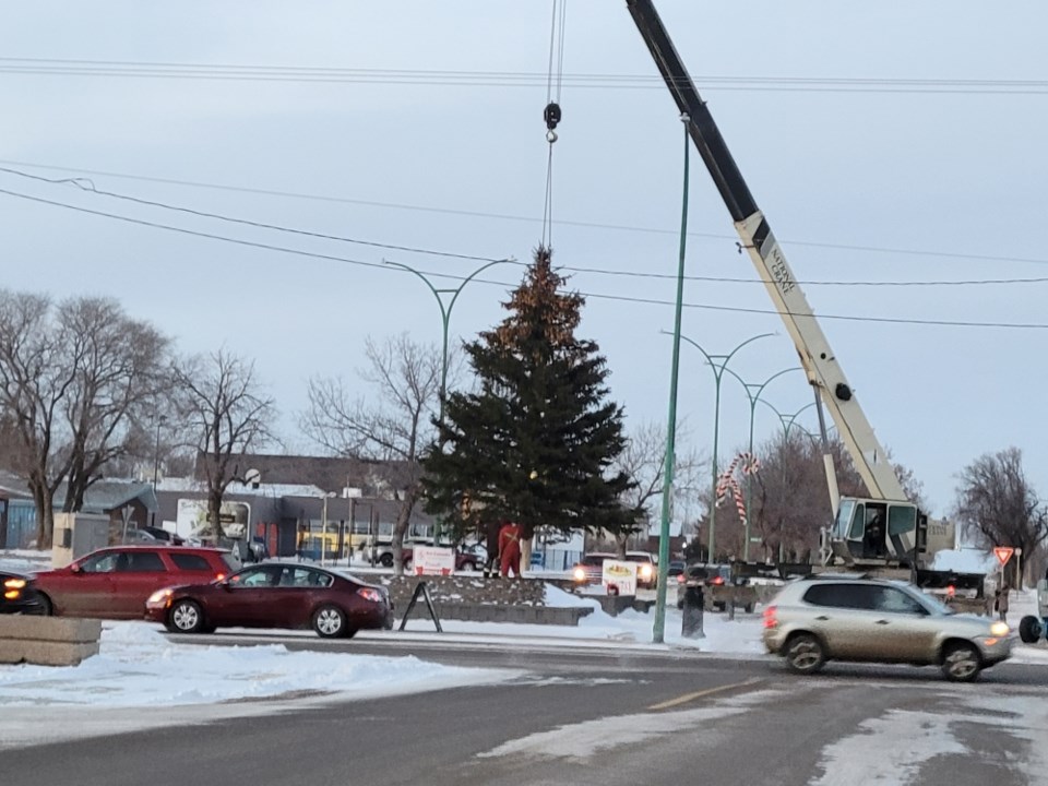 estevan-giant-christmas-tree