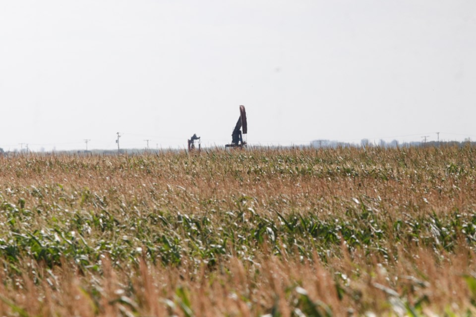 corn-pumpjack-5193