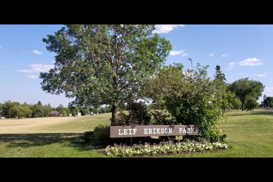 City crews detected an elm tree at Leif Erickson Park was infected.